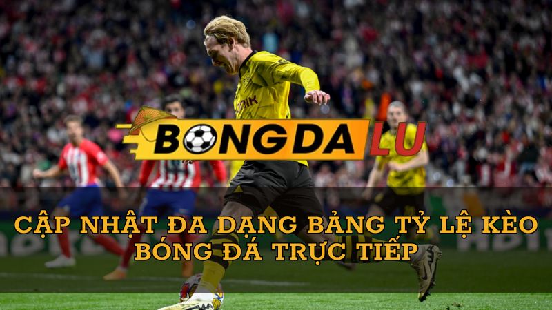 bongdalu-fun-cung-cap-da-dang-bang-ty-le-keo